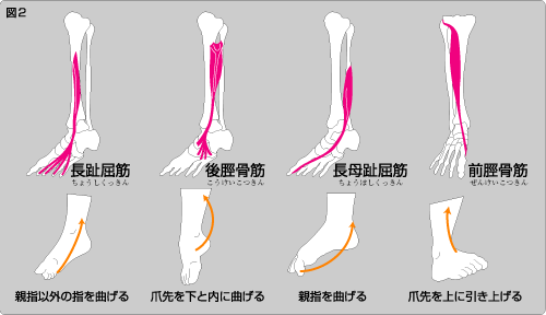 シン スプリント ケア