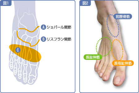 痛み 足首 の