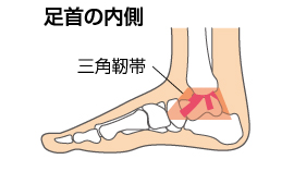 捻挫を知る１ 足関節捻挫のメカニズム Cramerjapan