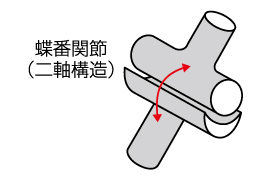 股関節の特徴を知る Cramerjapan