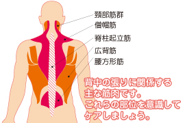 寒さで強張っていませんか 背中のケアとほぐし方 Cramerjapan