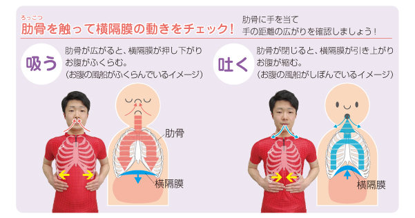 横隔膜チェック